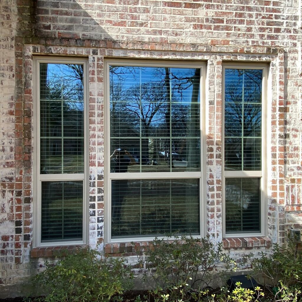 windows