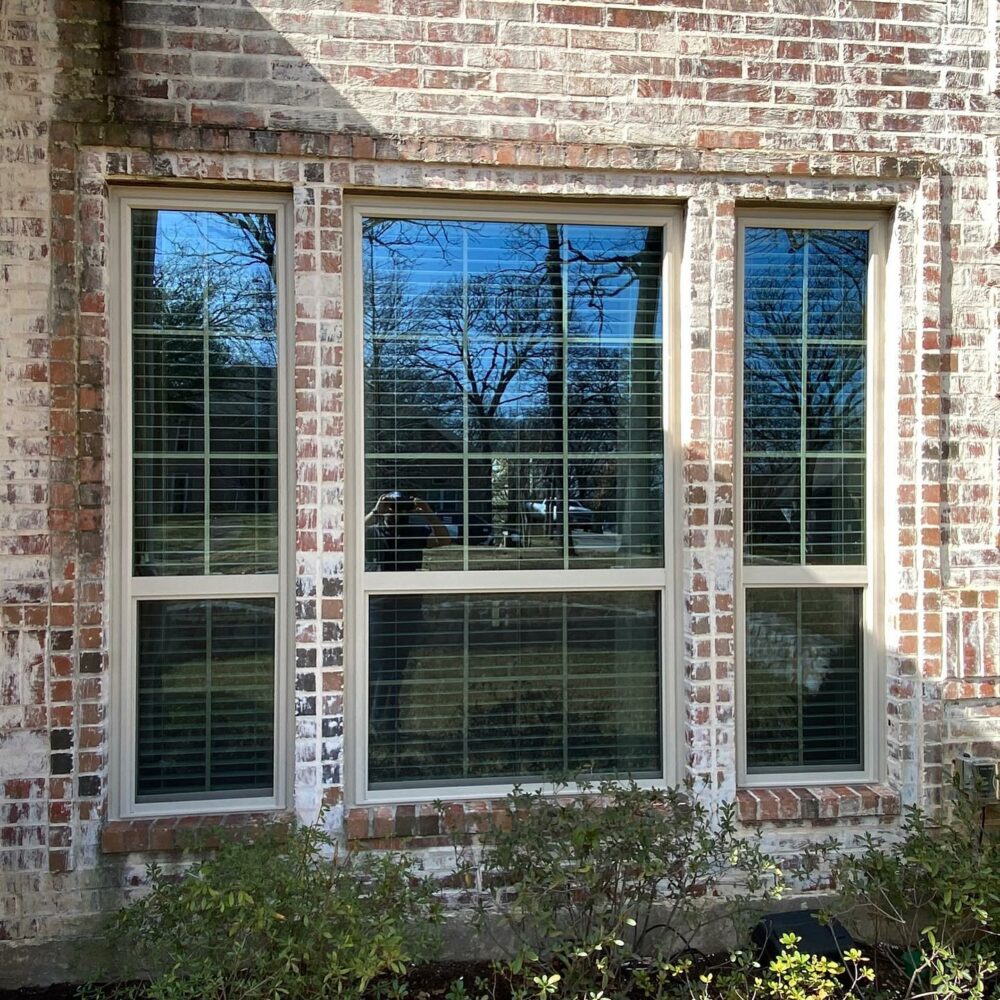windows